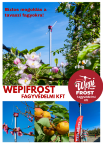Wepifrost katalógus