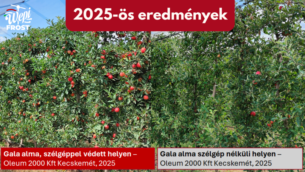 2025-ös eredmények